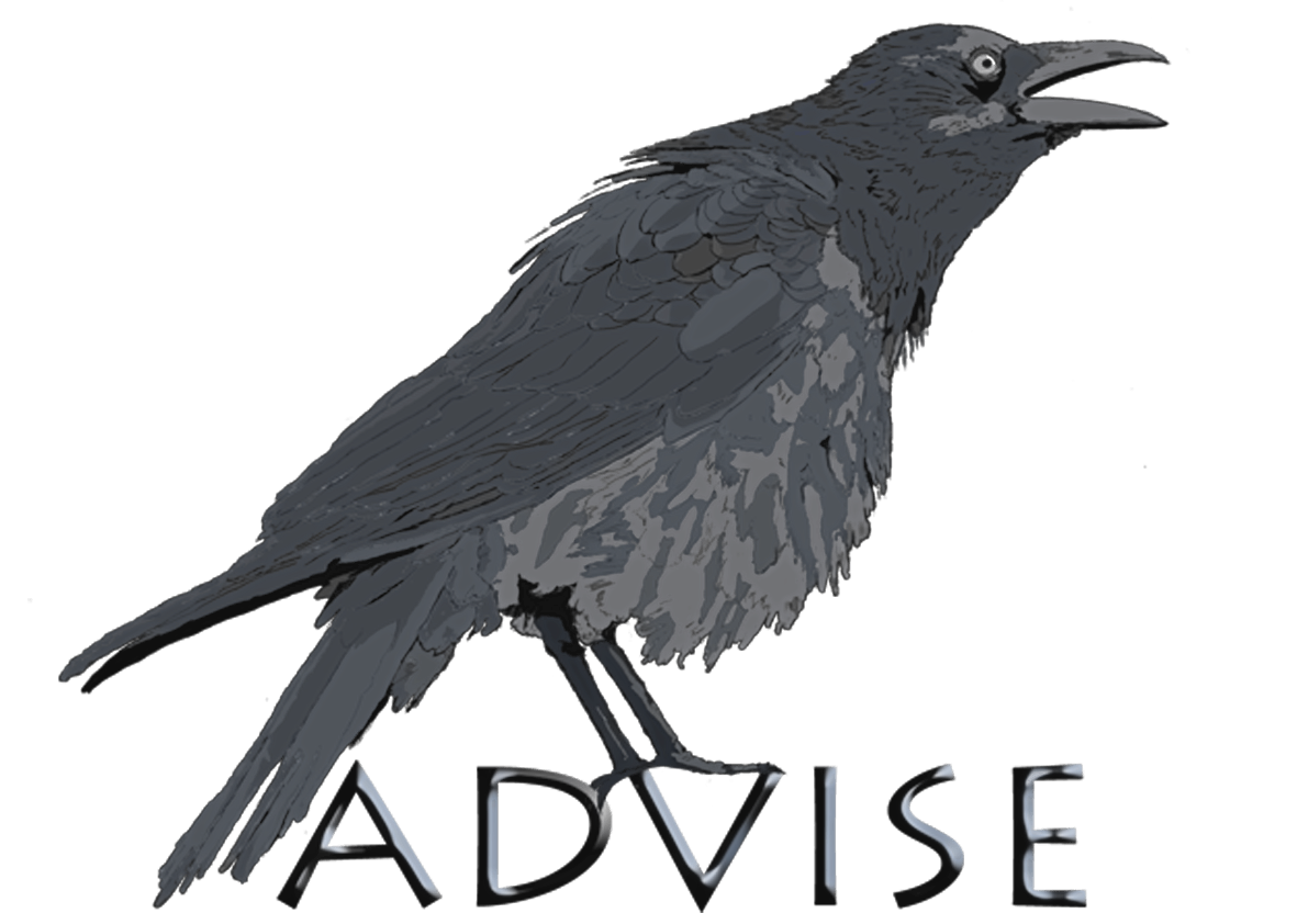 rabe_advise_trans_neu